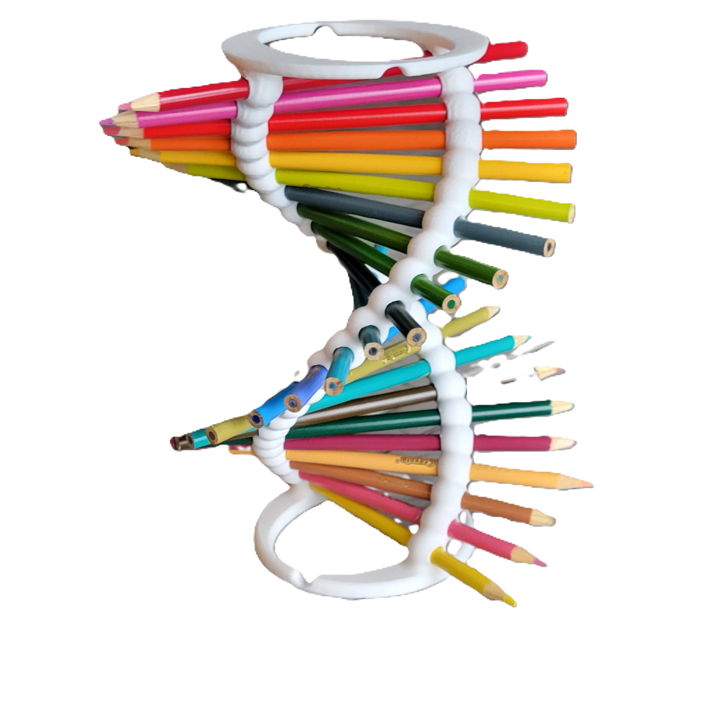Double Helix DNA Desk Organizer - Durable Pencil Holder for 23 Pencils | Ideal Gift for Teachers, Students, and Science Enthusiasts
