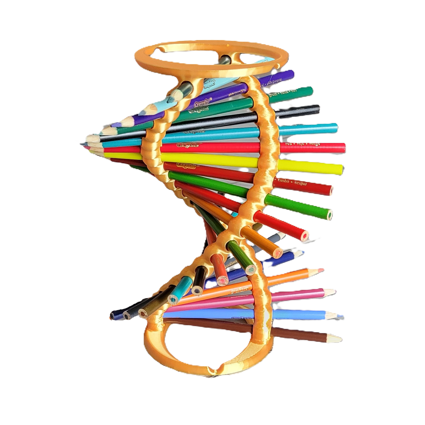 Double Helix DNA Desk Organizer - Durable Pencil Holder for 23 Pencils | Ideal Gift for Teachers, Students, and Science Enthusiasts