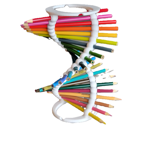 Double Helix DNA Desk Organizer - Durable Pencil Holder for 23 Pencils | Ideal Gift for Teachers, Students, and Science Enthusiasts